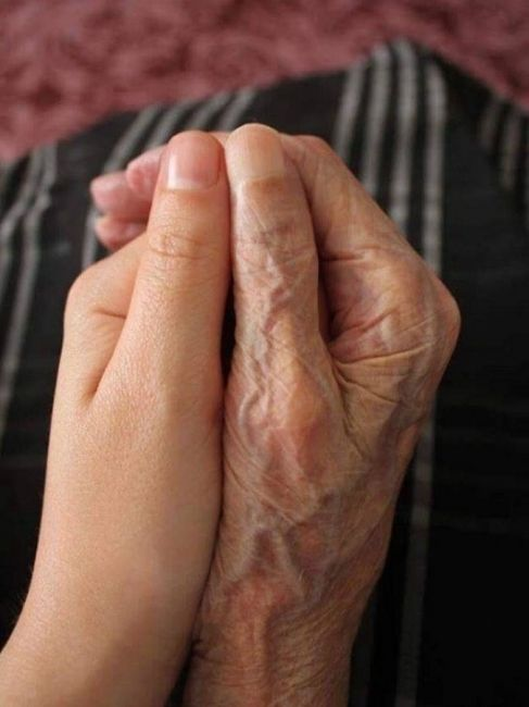 71309330_2998316930198744_8335862966926704640_n.pn