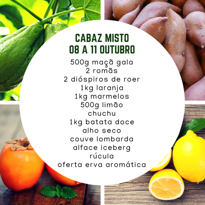 CabazMisto08a11Out.png CabazMisto08a11Out.png