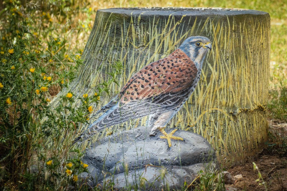 trilho das vinhas-27.jpg