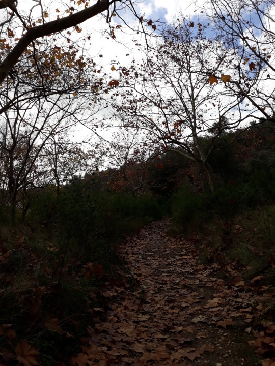 20181202_115844.jpg 20181202_115844.jpg