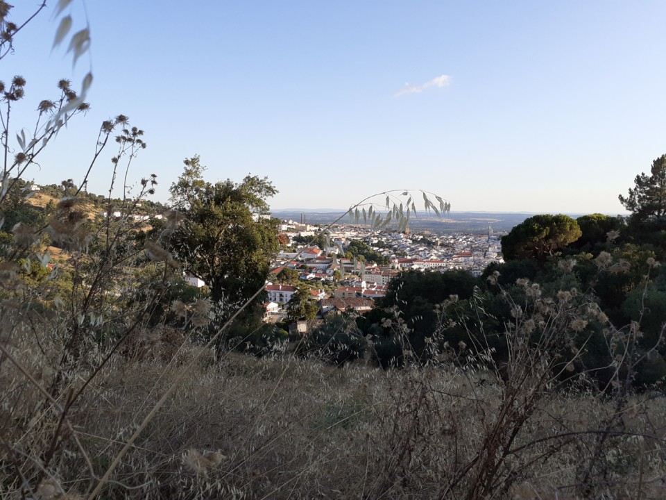 Vista Cidade. Nordeste. Foto Original. 2021.08.02.jpg