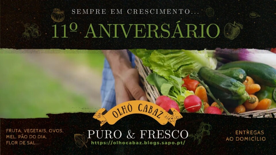 467750362_962885129202231_6428065746148983862_n.jp