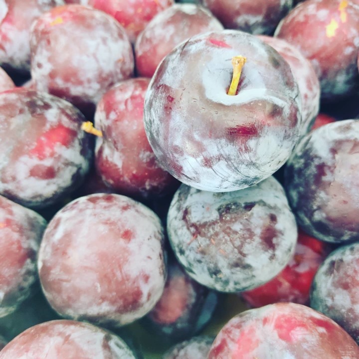 118256152_1791307034342383_763108712035495193_o.jp