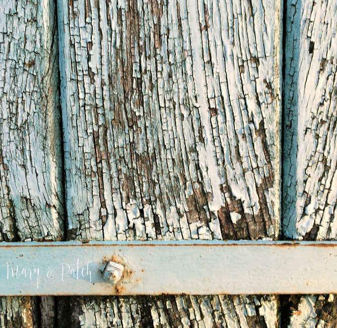 Photo Inspiration 334.jpg