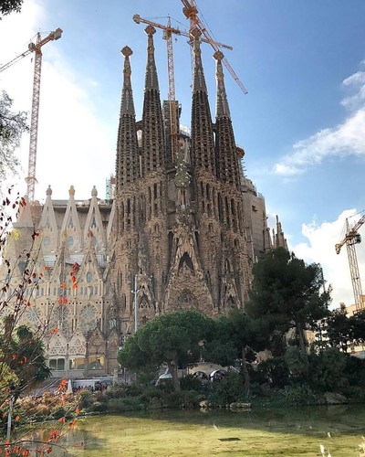 15823516_10211595345255686_2130469124945217822_n.j