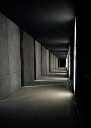 35398994_1835797426470348_3376398130688819200_n.jp