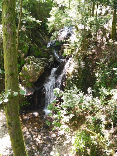 13529159_1104375856268449_2217407329017520639_n.jp