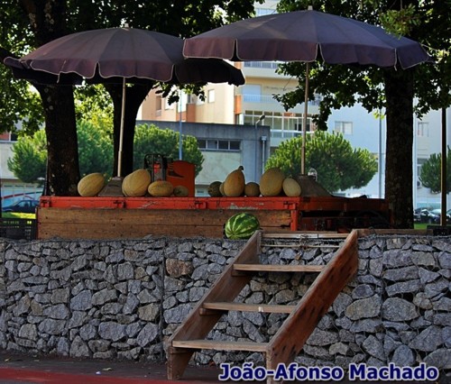 IMG_3163.JPG IMG_3163.JPG