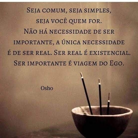 13932818_10209892618014464_4693376521260261773_n.j