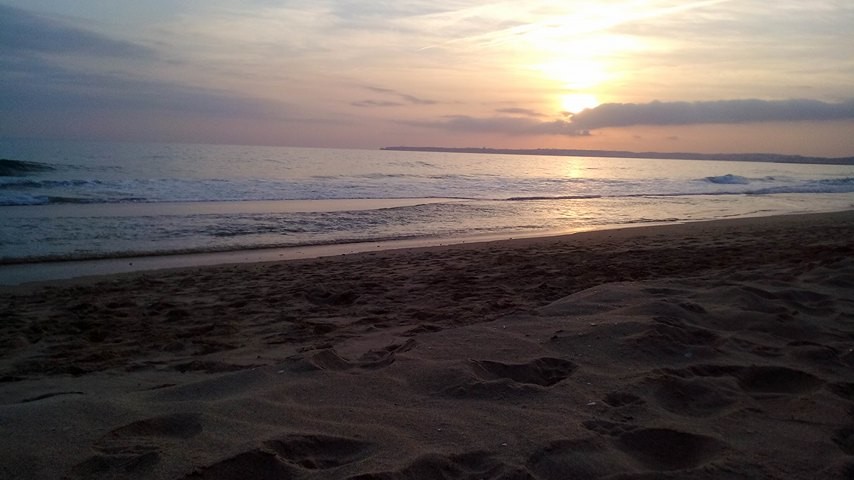 16830269_1288074357929328_1921538110_n.jpg 16830269_1288074357929328_1921538110_n.jpg