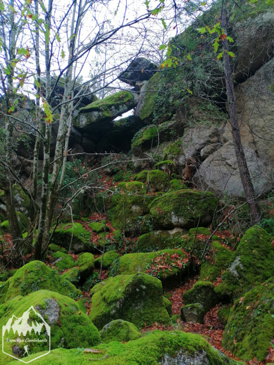 Photo_1582917387629.jpg Photo_1582917387629.jpg