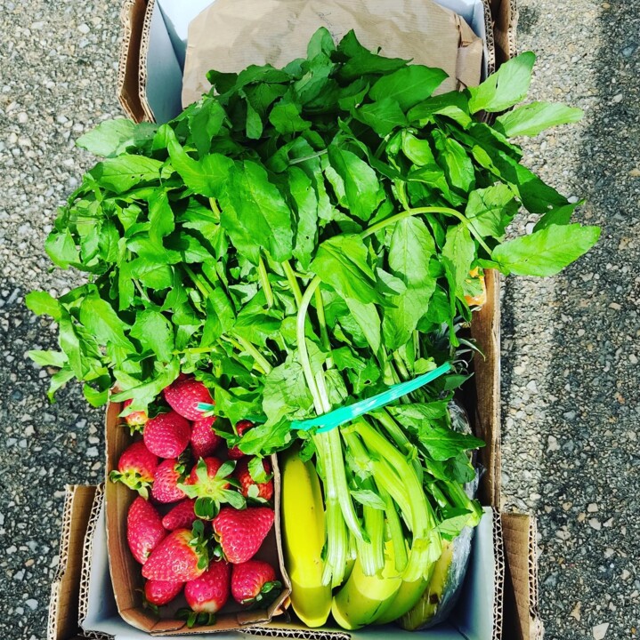 431985340_792555439568535_6314894185904800422_n.jp