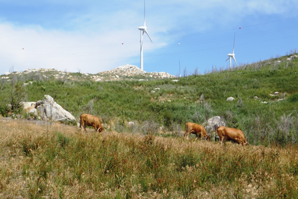 IMG_3407.JPG IMG_3407.JPG