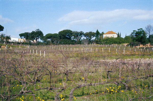 Quinta da Atalaia.jpg