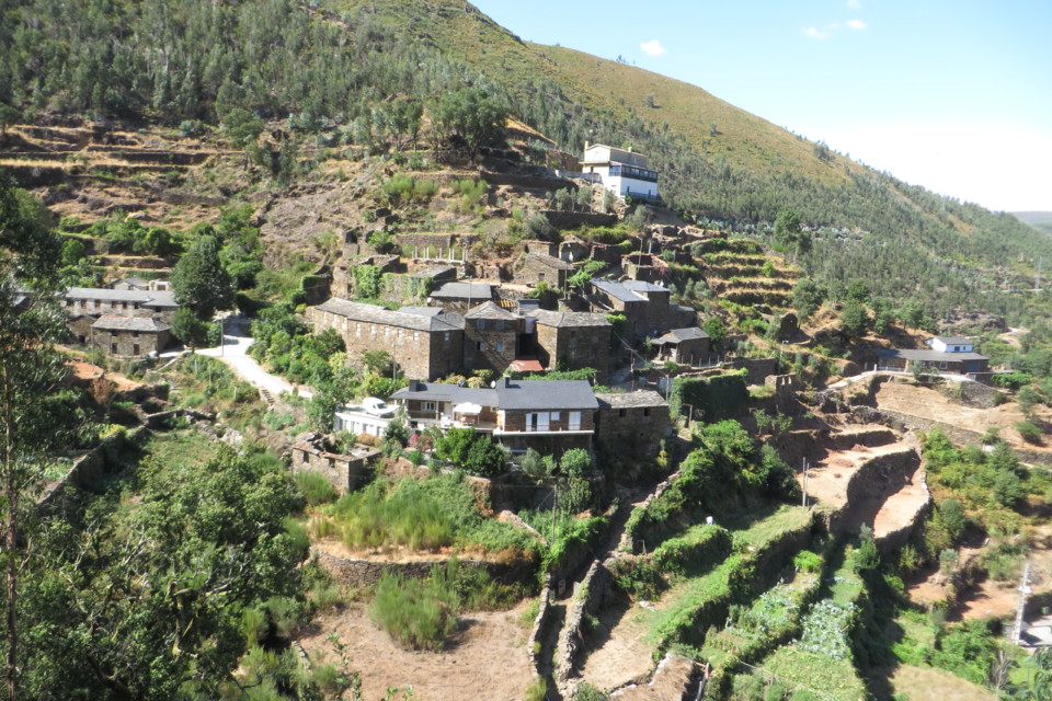 IMG_3563.JPG IMG_3563.JPG