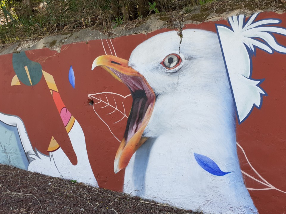 Catatua. Setúbal. Arte Urbana. EN10. Foto original. 2021.06.22.jpg