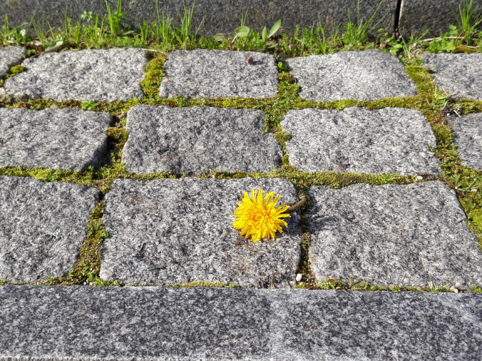 20210216_101402.jpg 20210216_101402.jpg