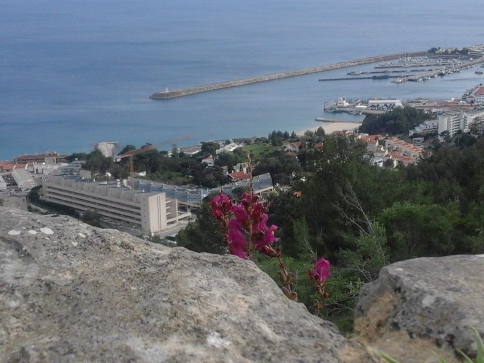 Sesimbra. Porto. Foto original. 2019. 04. jpg