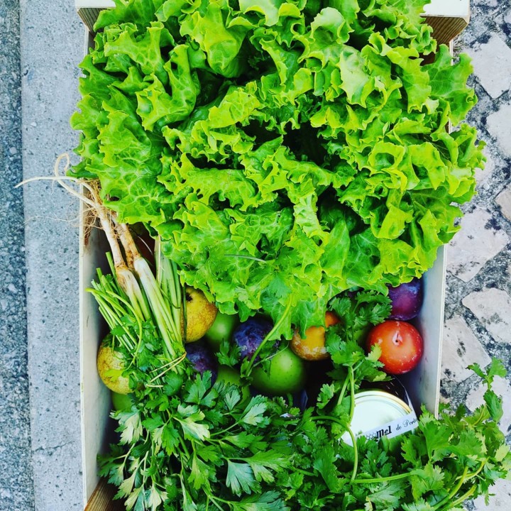 120351017_1826296607510092_9092382265271011134_o.j