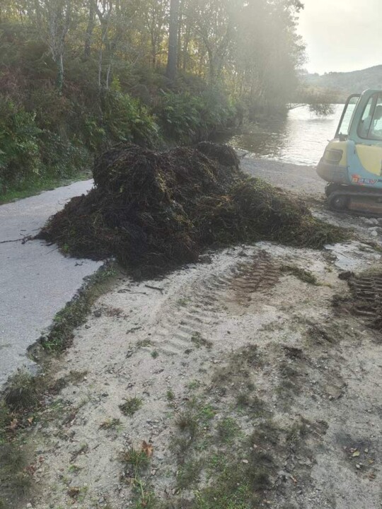 559883204_819285537517496_5778041582948702479_n.jp