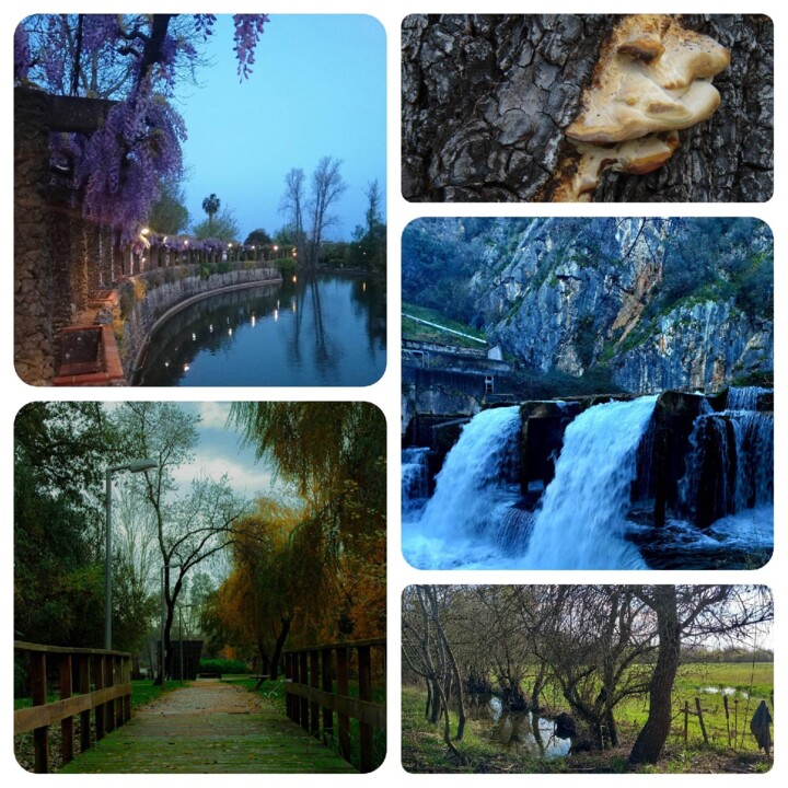 fotos marcas escola 2.jpg