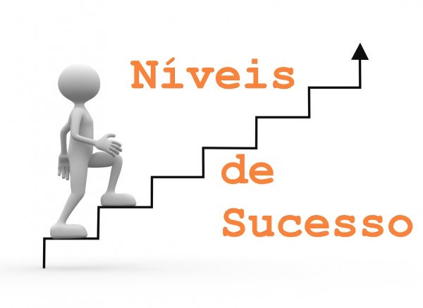 niveis de sucesso.jpg