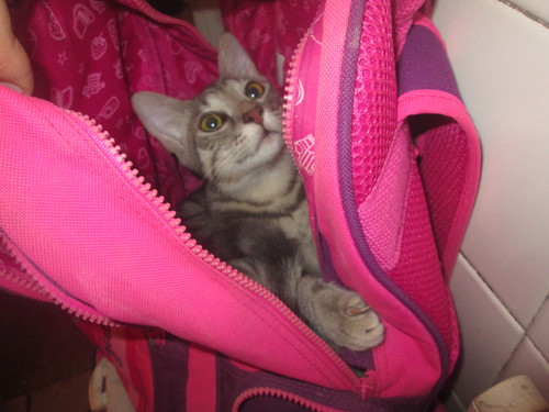 IMG_2882.JPG IMG_2882.JPG