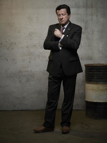 joaquim de almeida rainha sul.jpg