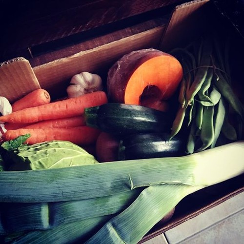 17312919_1408385715879213_8844714156532695040_n.jp