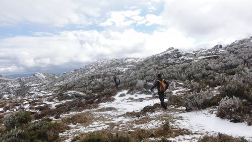 167299_1451719107762_1676798351_889475_3739978_n