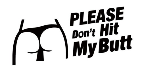 car-decal-dub-funny-please-don-039-t-hit.jpg