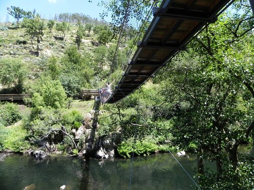 13438833_10157108769995578_4436789048516541716_n.j