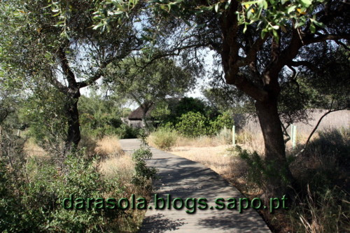 Donana_B_21.JPG Donana_B_21.JPG