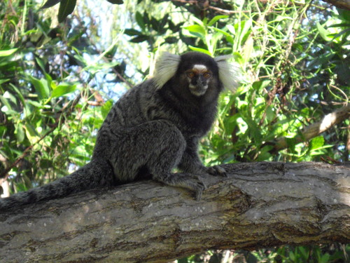 IMGP3529.JPG IMGP3529.JPG