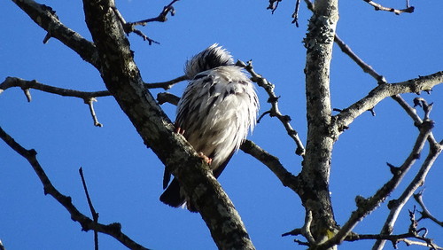 DSC00219.jpg DSC00219.jpg