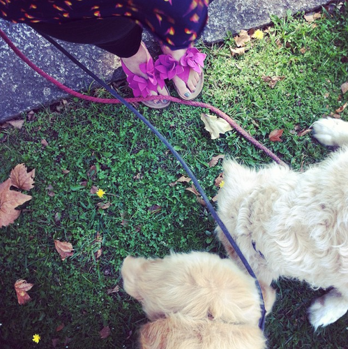 Captura de ecrã 2015-08-9, às 10.36.12.png