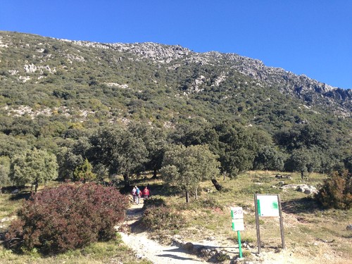 IMG_3853.JPG IMG_3853.JPG