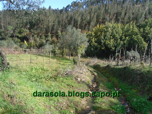 Penacova_21.JPG Penacova_21.JPG