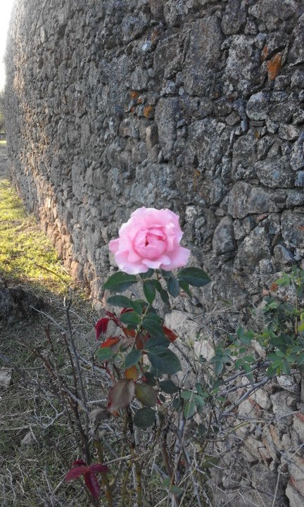 Foto Original. 2020. 10. jpg