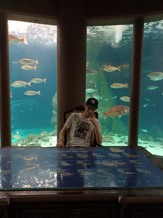 Não me canso disto Corunha 6.jpg