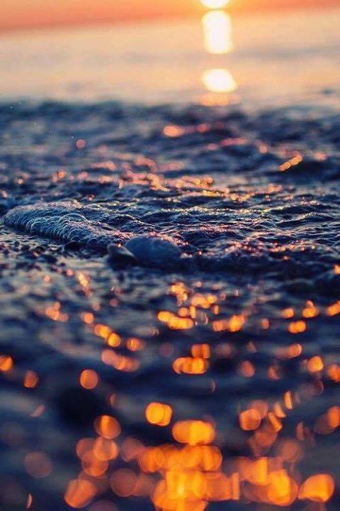 “The dreamers are the saviors of the world.” 