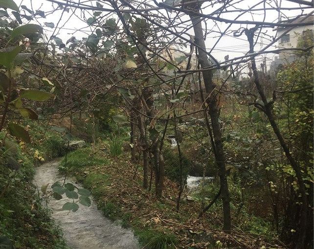 captura_de_ecra_2018_12_05__as_13_10_41_1_1024_250