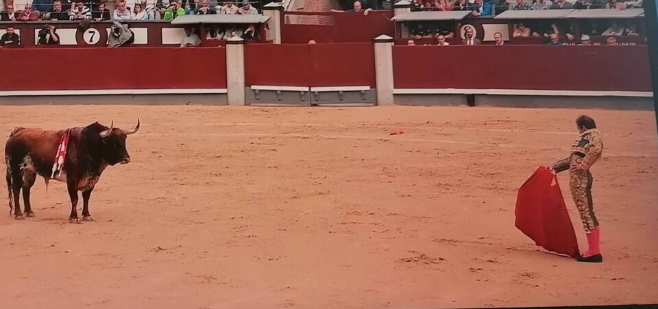 346139205_956433859036313_1279839058372687203_n.jp