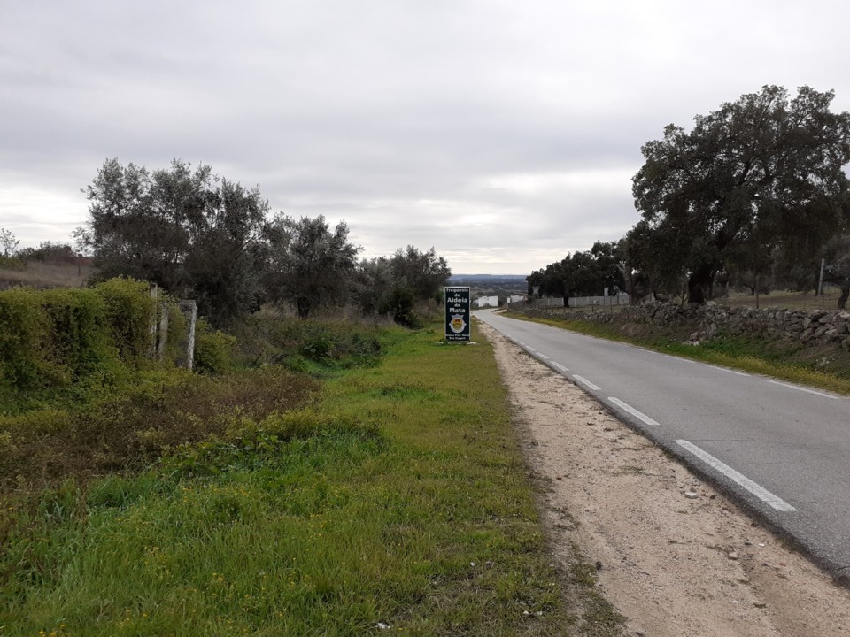 Caminho para apeadeiro. Foto Original. 2021.12.01.jpg