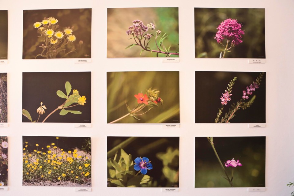 119084630_3229037133817460_3648242323131061598_o.j 119084630_3229037133817460_3648242323131061598_o.j