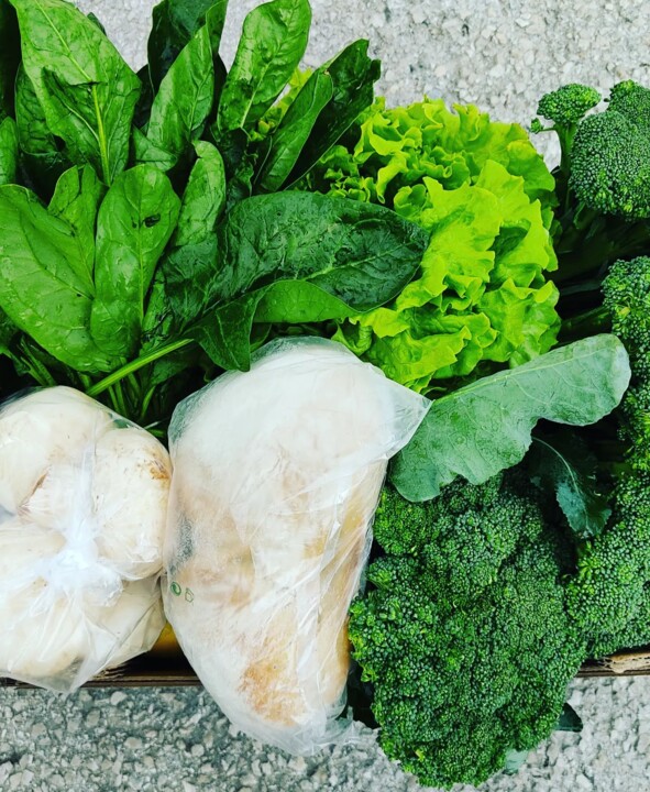 318509946_2490069794466100_2454318963437481587_n.j