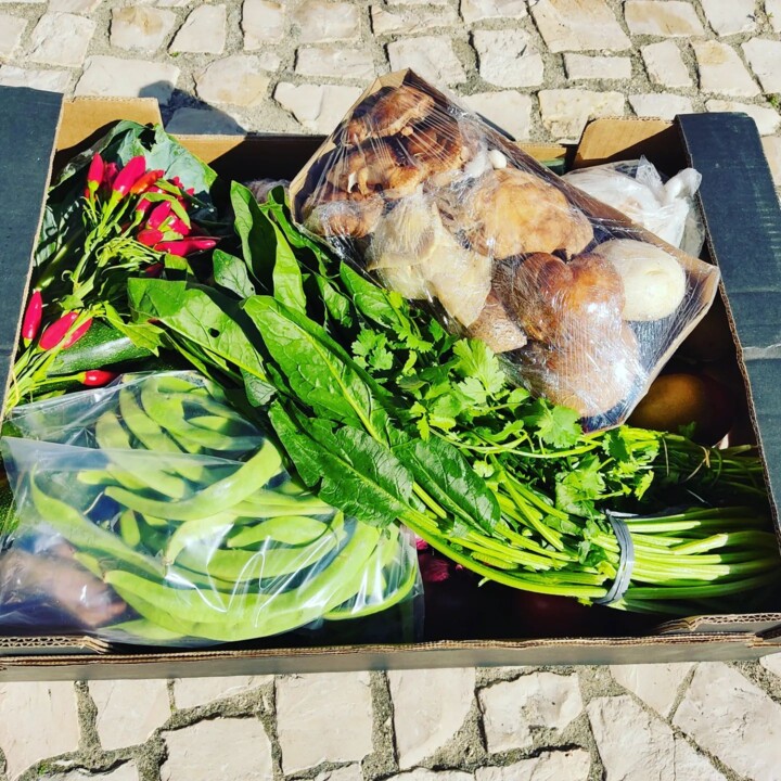 310435968_2426337564172657_1017782491036328267_n.j