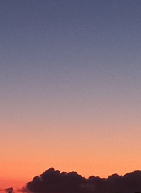 239767843_368372894772808_6144127138108072703_n.jp