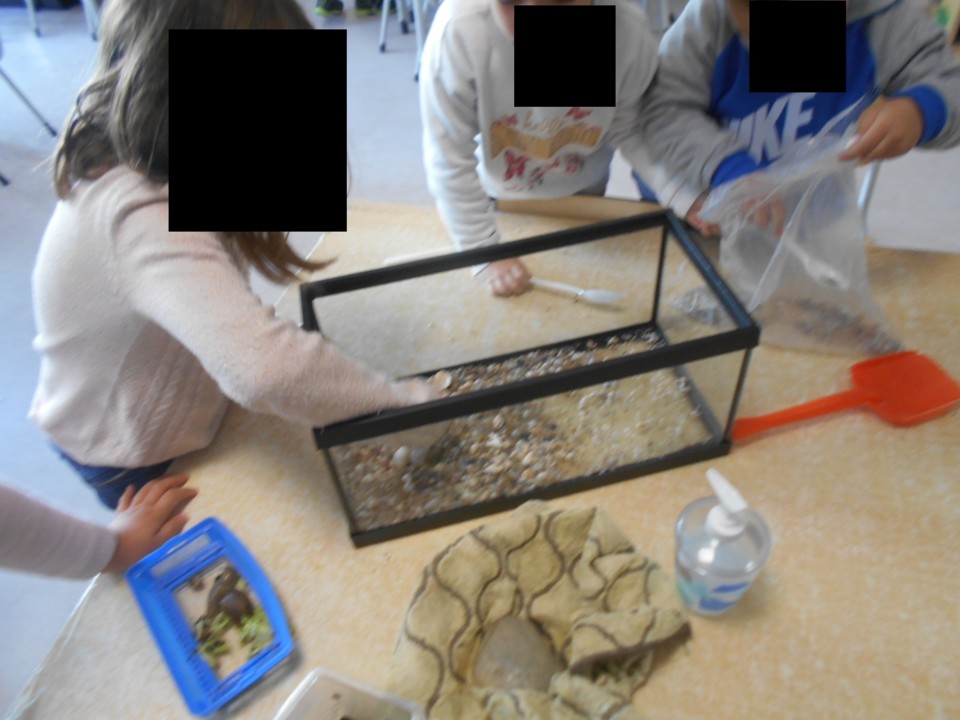 DSCN201611.jpg DSCN201611.jpg