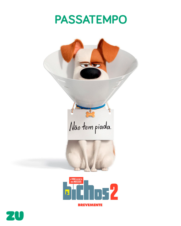 61434024_2153370908286156_6743583526462947328_n.pn